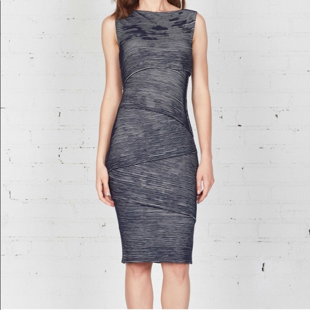 Bailey44 Bodycon Ford Dress